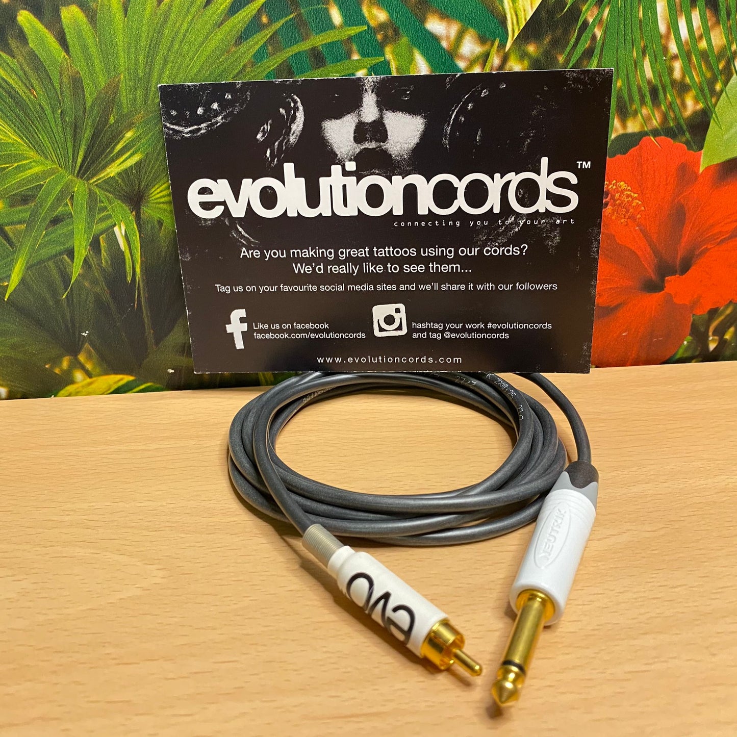Evolution Cords - RCA Cable (Straight)